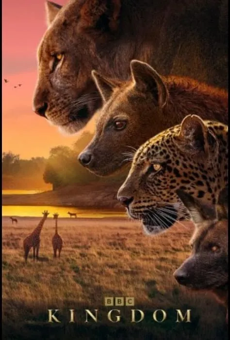 Фильмы и сериалы BBC смотреть онлайн в HD качестве на Лордфильм